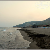 фото из отзыва ID 1239918