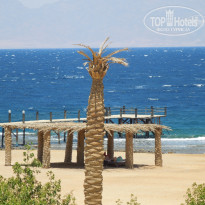 фото из отзыва ID 1239937