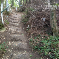 фото из отзыва ID 1237683