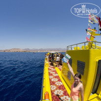 фото из отзыва ID 1234465