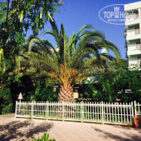 фото из отзыва ID 1232395