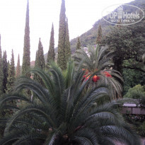 фото из отзыва ID 1235048