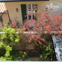 фото из отзыва ID 1239441