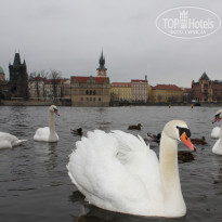 фото из отзыва ID 124158