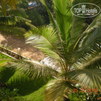 фото из отзыва ID 124447