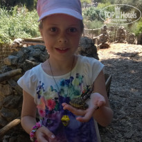 фото из отзыва ID 1240013