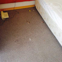 фото из отзыва ID 1240107