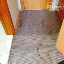 фото из отзыва ID 1240107