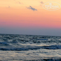 фото из отзыва ID 1240303