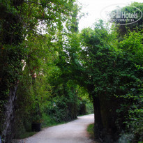 фото из отзыва ID 1240580