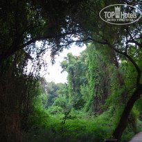 фото из отзыва ID 1240580