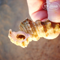 фото из отзыва ID 1240696