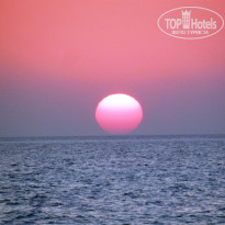 фото из отзыва ID 1240696