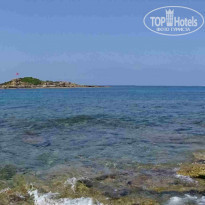 фото из отзыва ID 1240793