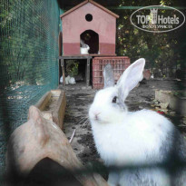 фото из отзыва ID 1240793