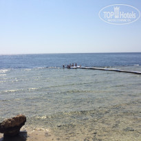 фото из отзыва ID 1240907