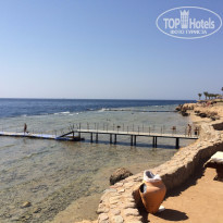 фото из отзыва ID 1240907