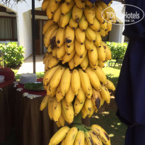 фото из отзыва ID 1240961