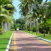 фото из отзыва ID 1241002