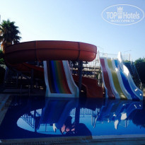 фото из отзыва ID 1241023