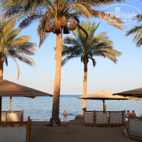 фото из отзыва ID 1241073