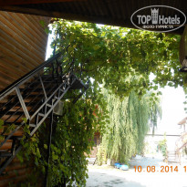 фото из отзыва ID 1241201