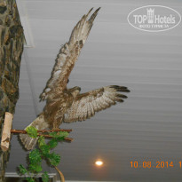 фото из отзыва ID 1241201