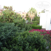 фото из отзыва ID 1241207