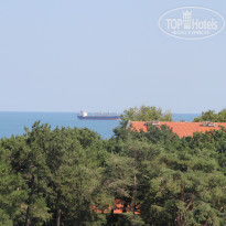 фото из отзыва ID 1241257