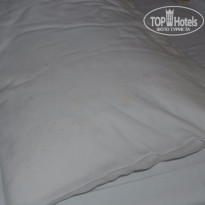 фото из отзыва ID 1241326