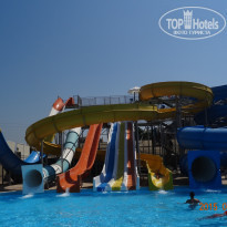 фото из отзыва ID 1241448