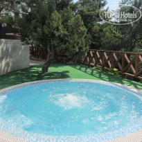 фото из отзыва ID 1241468