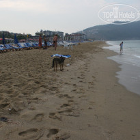 фото из отзыва ID 1241499