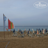 фото из отзыва ID 1241499