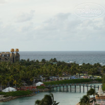 фото из отзыва ID 1241537