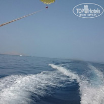 фото из отзыва ID 1241575