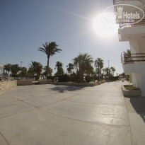 фото из отзыва ID 1241802