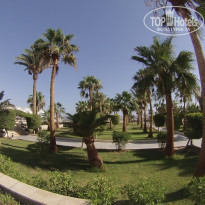 фото из отзыва ID 1241802