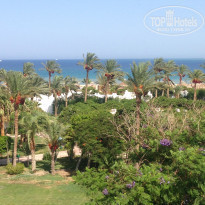 фото из отзыва ID 1241832