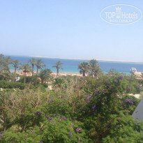 фото из отзыва ID 1241832