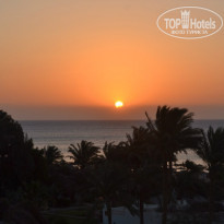 фото из отзыва ID 1241832