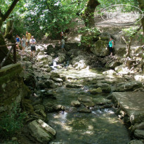 фото из отзыва ID 1241964