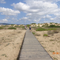 фото из отзыва ID 1241991