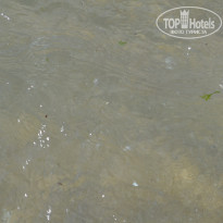 фото из отзыва ID 1242033