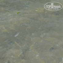 фото из отзыва ID 1242033