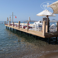 фото из отзыва ID 1242047