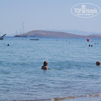 фото из отзыва ID 1242047