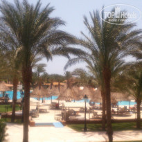 фото из отзыва ID 1242130