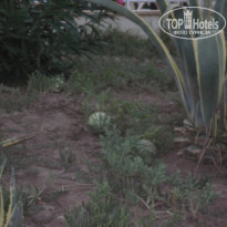 фото из отзыва ID 1242283