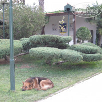 фото из отзыва ID 1242283